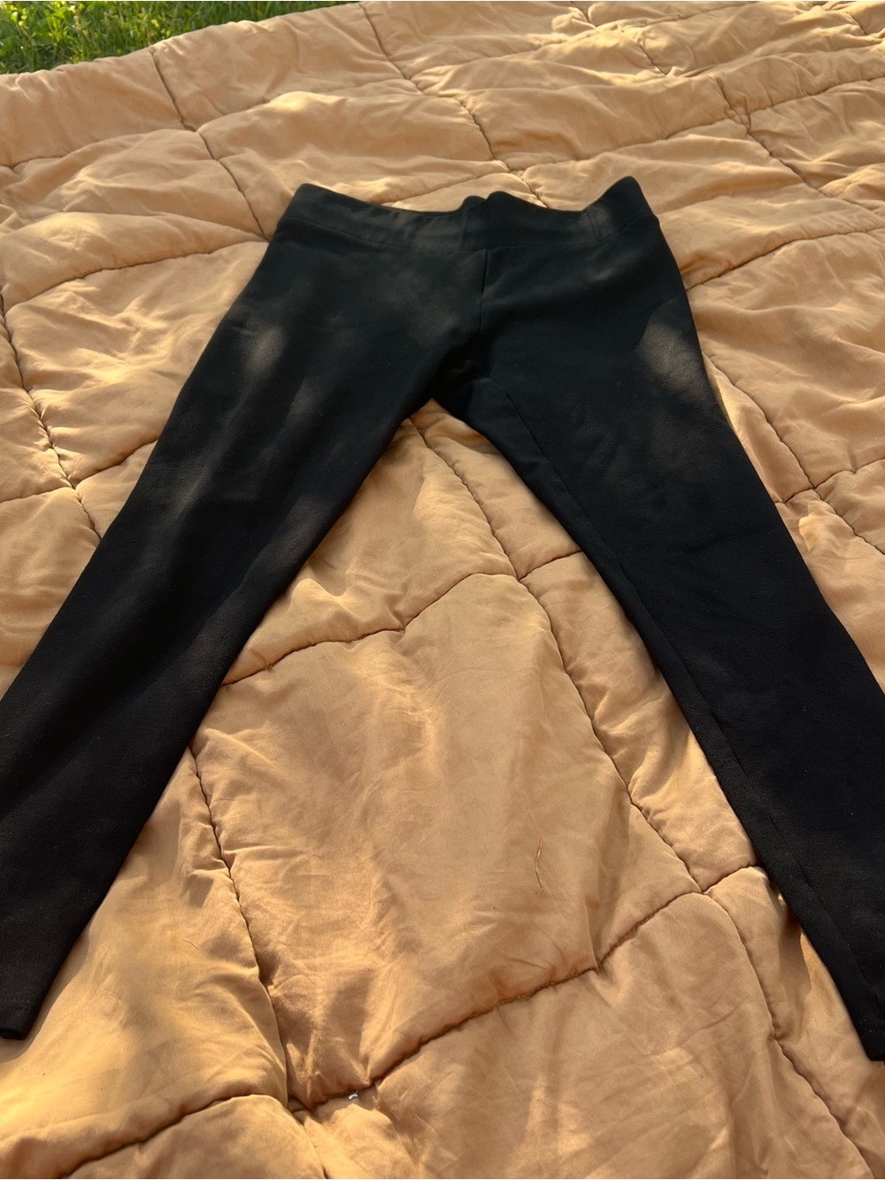 LOFT Basic Black Pull On Ponte Leggings Heavy Knit Size Medium
